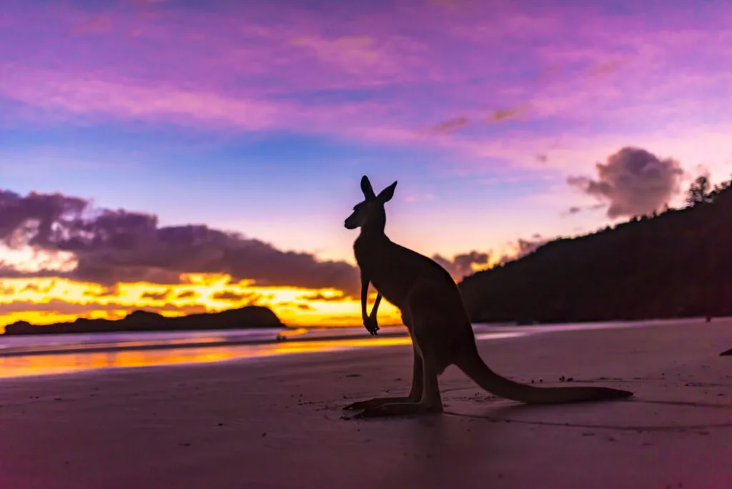 Browse Mackay council jobs