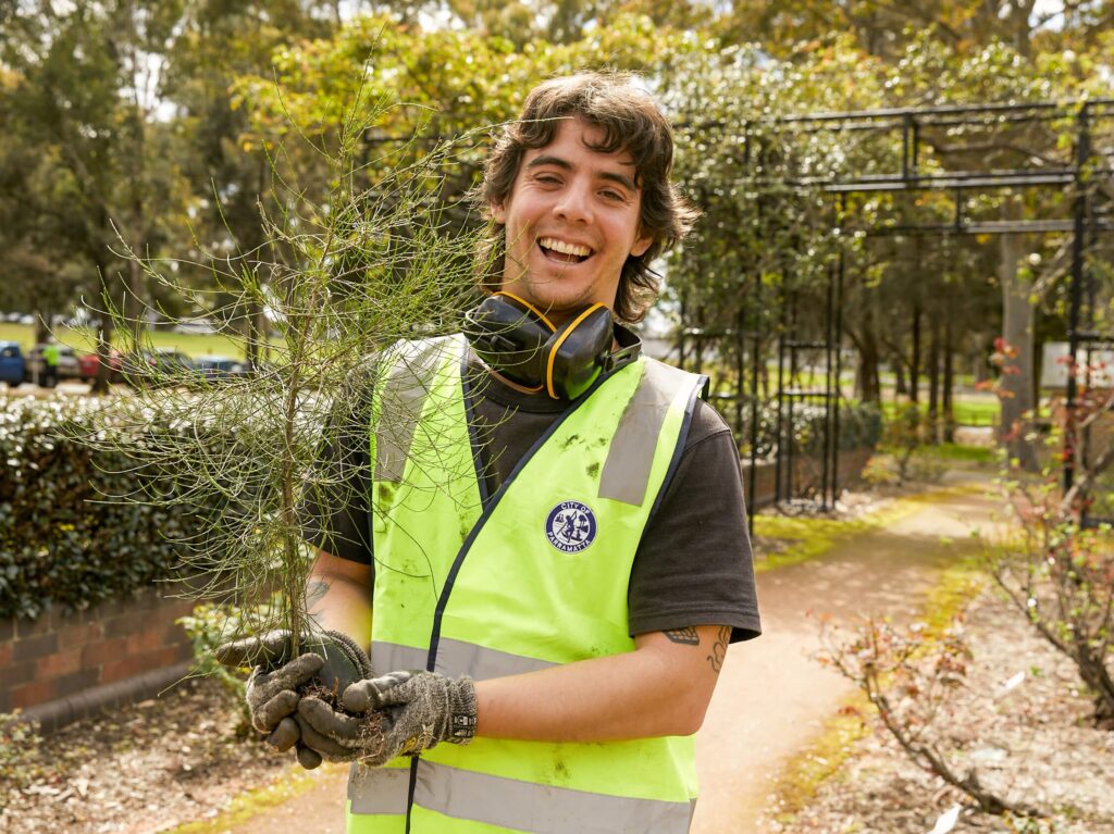 apprenticeships