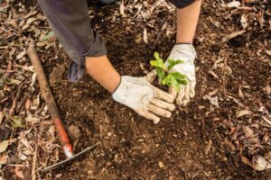 sustainability