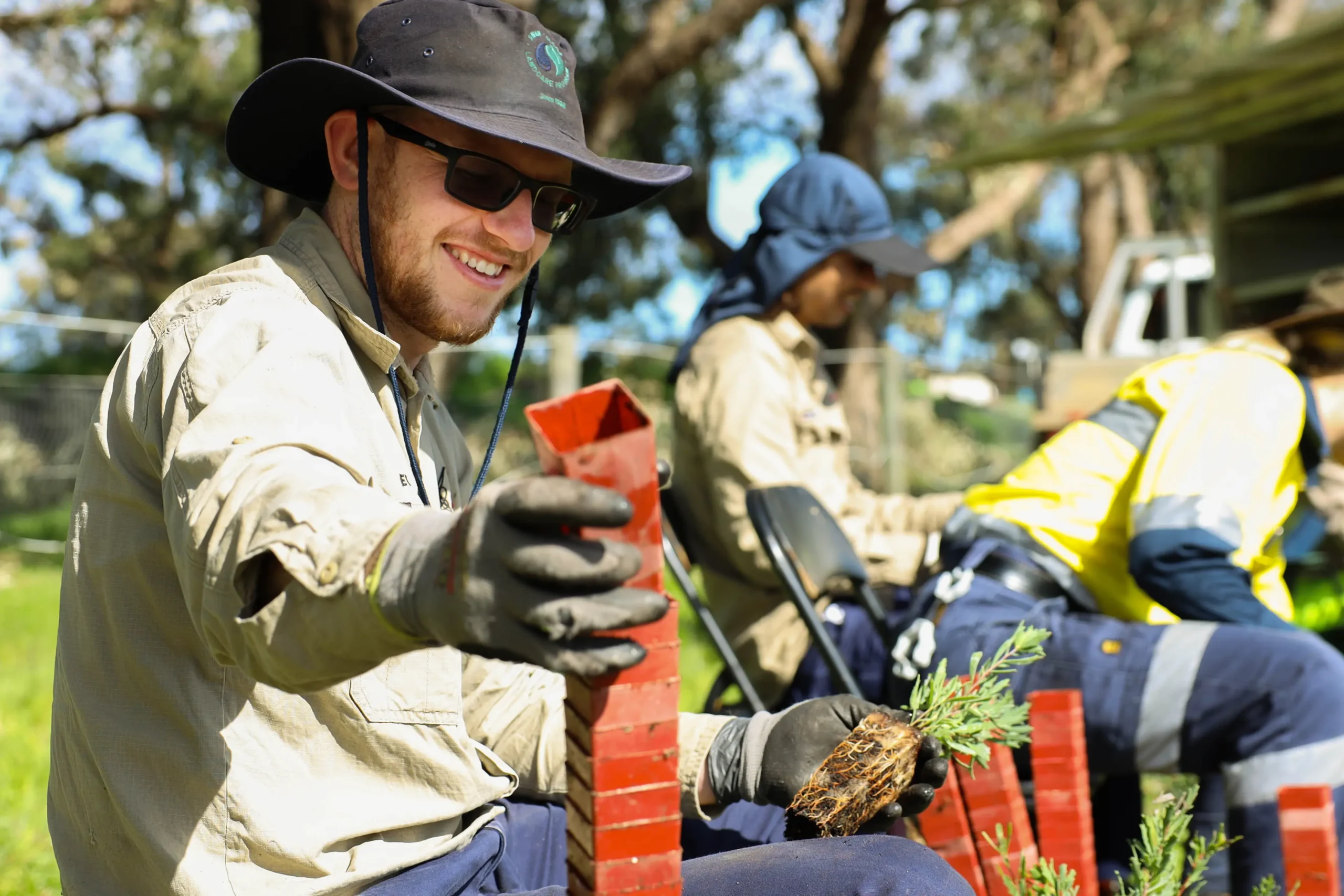 local government skills audit