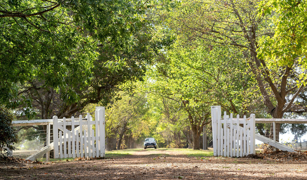 Armidale Council Jobs, New England NSW