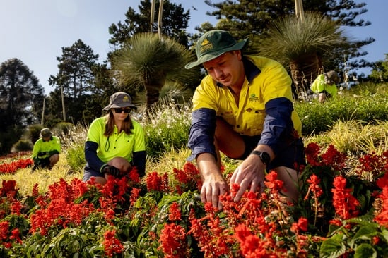 Port Macquarie-Hastings Council about